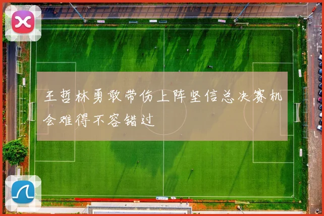 王哲林勇敢带伤上阵坚信总决赛机会难得不容错过